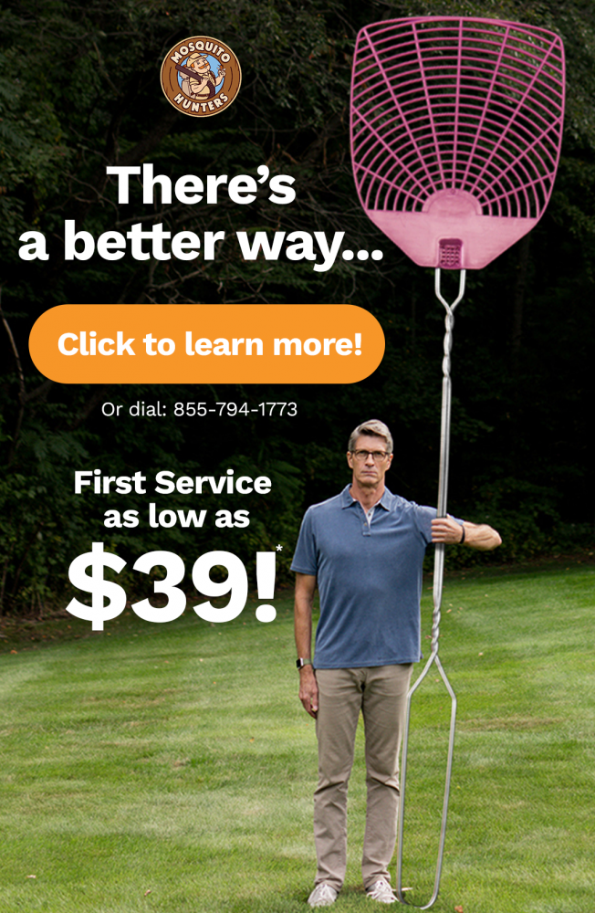 man with oversized fly swatter